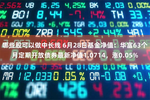 哪些股可以做中长线 6月28日基金净值：华富63个月定期开放债券最新净值1.0714，涨0.05%