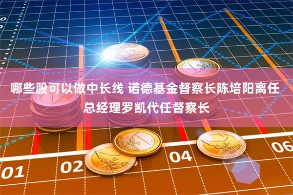 哪些股可以做中长线 诺德基金督察长陈培阳离任 总经理罗凯代任督察长