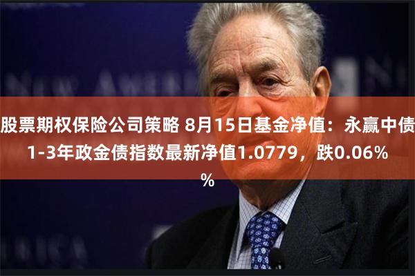 股票期权保险公司策略 8月15日基金净值：永赢中债1-3年政金债指数最新净值1.0779，跌0.06%