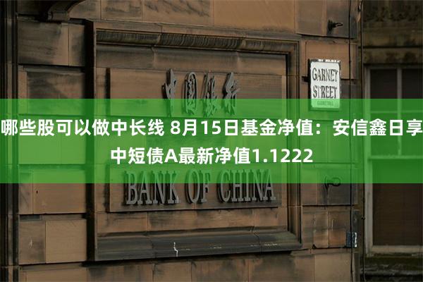 哪些股可以做中长线 8月15日基金净值：安信鑫日享中短债A最新净值1.1222