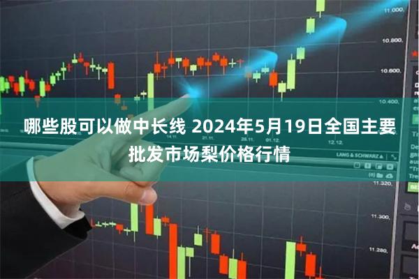哪些股可以做中长线 2024年5月19日全国主要批发市场梨价格行情
