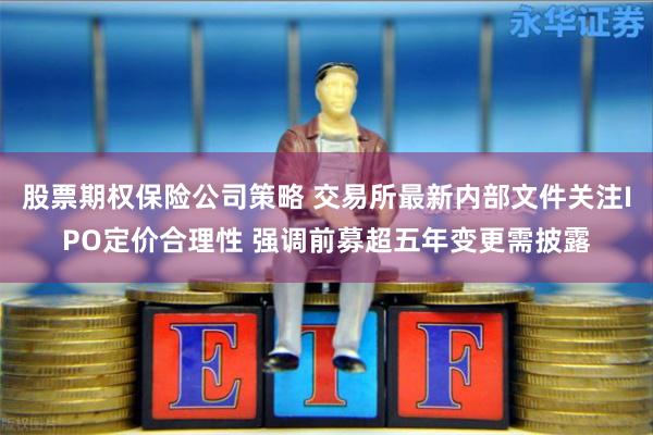 股票期权保险公司策略 交易所最新内部文件关注IPO定价合理性 强调前募超五年变更需披露