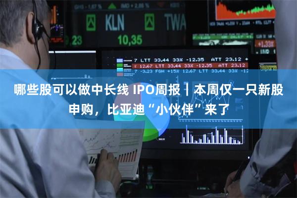 哪些股可以做中长线 IPO周报｜本周仅一只新股申购，比亚迪“小伙伴”来了