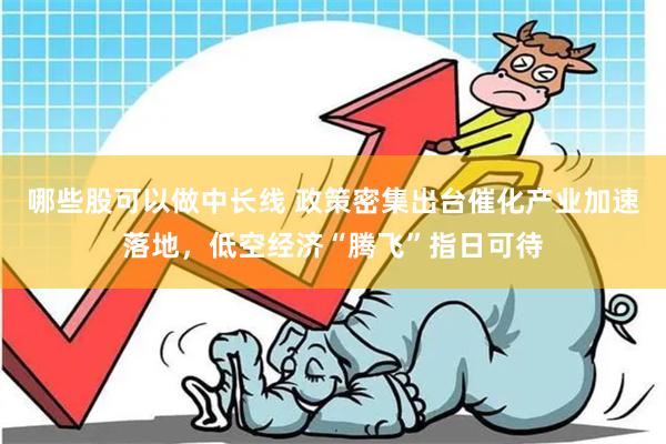 哪些股可以做中长线 政策密集出台催化产业加速落地，低空经济“腾飞”指日可待