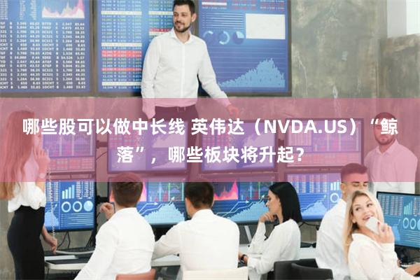 哪些股可以做中长线 英伟达（NVDA.US）“鲸落”，哪些板块将升起？