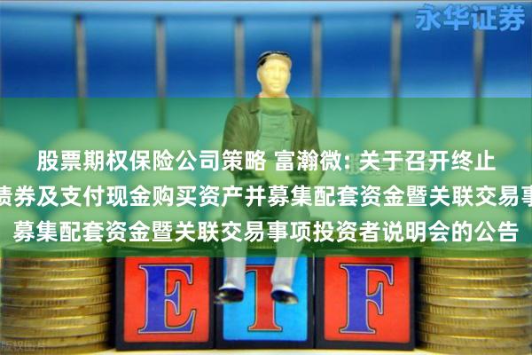 股票期权保险公司策略 富瀚微: 关于召开终止发行股份、可转换公司债券及支付现金购买资产并募集配套资金暨关联交易事项投资者说明会的公告