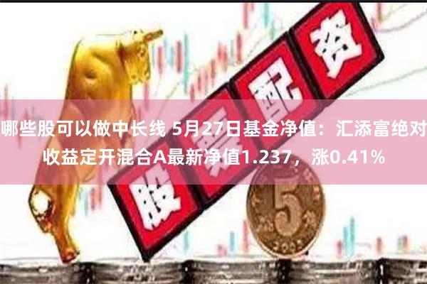 哪些股可以做中长线 5月27日基金净值：汇添富绝对收益定开混合A最新净值1.237，涨0.41%
