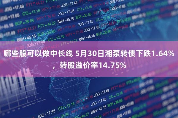 哪些股可以做中长线 5月30日湘泵转债下跌1.64%，转股溢价率14.75%