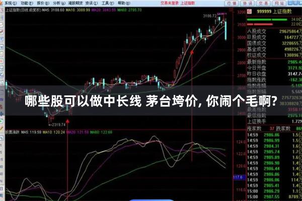 哪些股可以做中长线 茅台垮价, 你闹个毛啊?