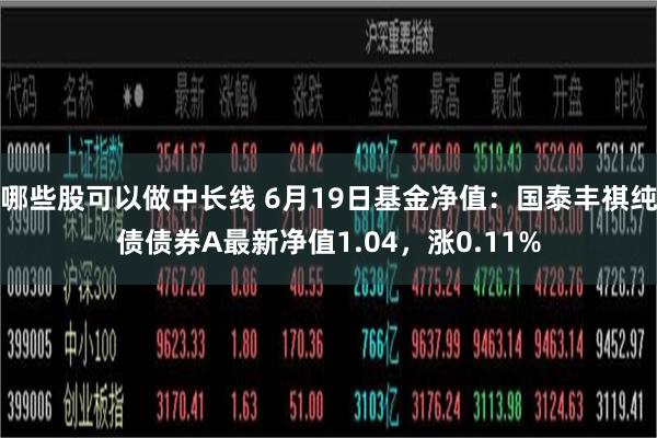 哪些股可以做中长线 6月19日基金净值：国泰丰祺纯债债券A最新净值1.04，涨0.11%