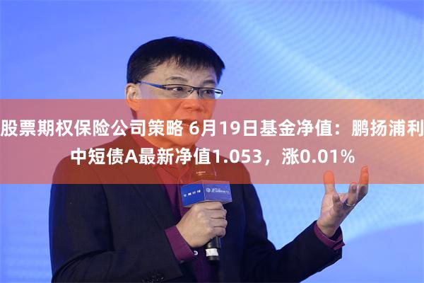 股票期权保险公司策略 6月19日基金净值：鹏扬浦利中短债A最新净值1.053，涨0.01%