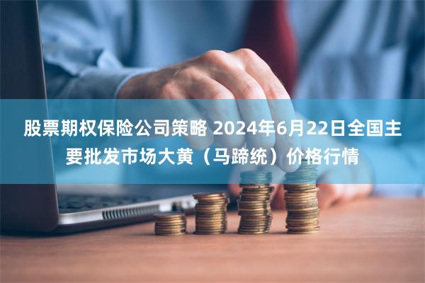 股票期权保险公司策略 2024年6月22日全国主要批发市场大黄（马蹄统）价格行情