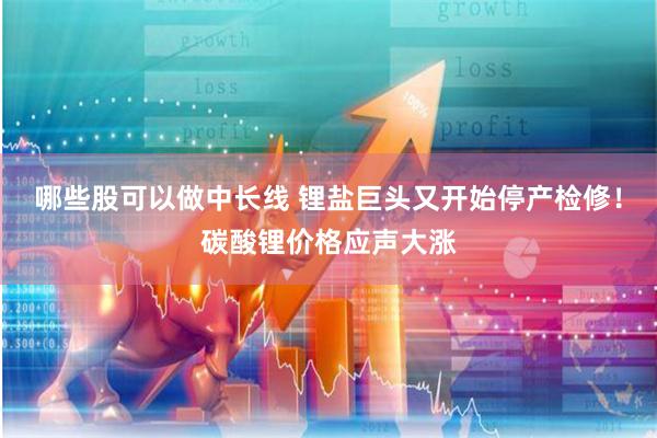 哪些股可以做中长线 锂盐巨头又开始停产检修！碳酸锂价格应声大涨