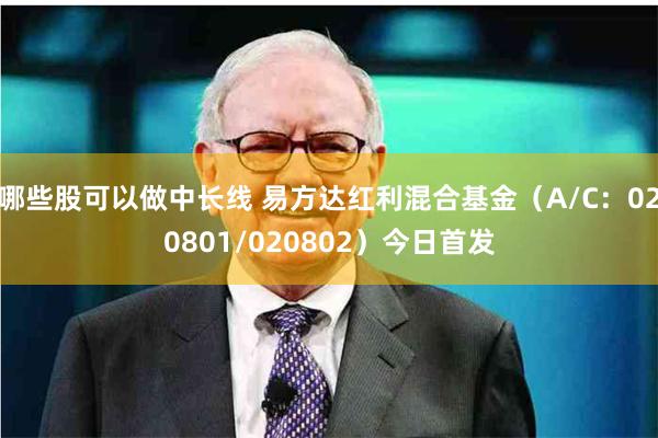 哪些股可以做中长线 易方达红利混合基金（A/C：020801/020802）今日首发