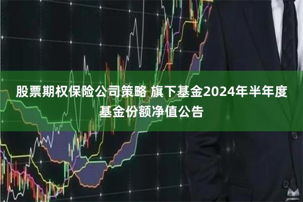 股票期权保险公司策略 旗下基金2024年半年度基金份额净值公告