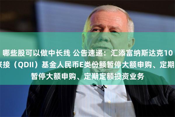哪些股可以做中长线 公告速递：汇添富纳斯达克100ETF发起式联接（QDII）基金人民币E类份额暂停大额申购、定期定额投资业务