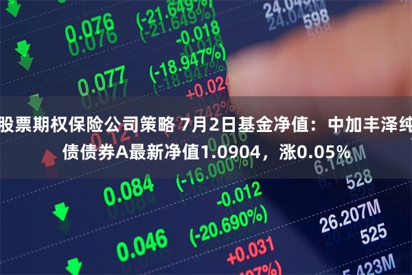 股票期权保险公司策略 7月2日基金净值：中加丰泽纯债债券A最新净值1.0904，涨0.05%