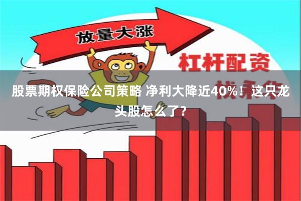 股票期权保险公司策略 净利大降近40%！这只龙头股怎么了？
