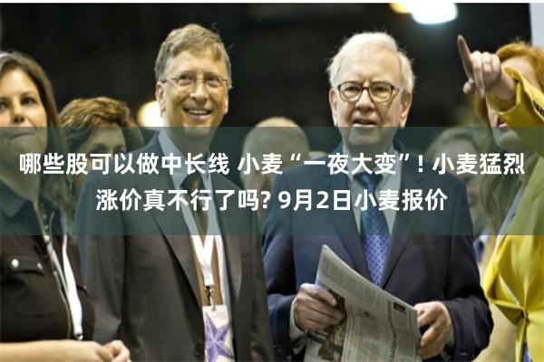 哪些股可以做中长线 小麦“一夜大变”! 小麦猛烈涨价真不行了吗? 9月2日小麦报价