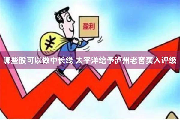 哪些股可以做中长线 太平洋给予泸州老窖买入评级