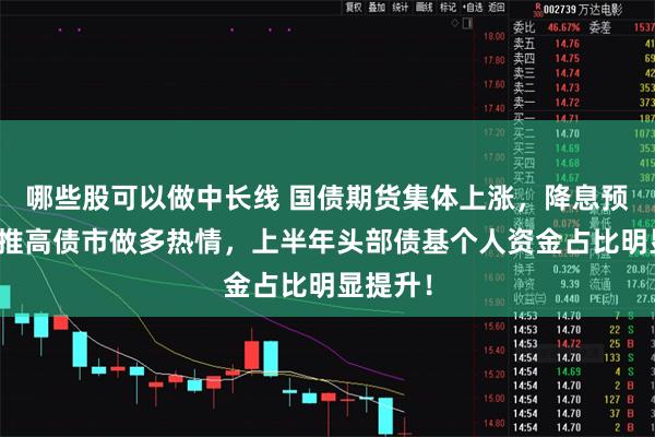 哪些股可以做中长线 国债期货集体上涨，降息预期仍在推高债市做多热情，上半年头部债基个人资金占比明显提升！