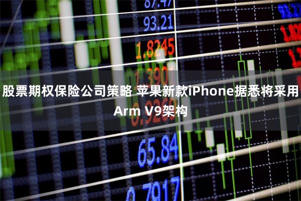 股票期权保险公司策略 苹果新款iPhone据悉将采用Arm V9架构