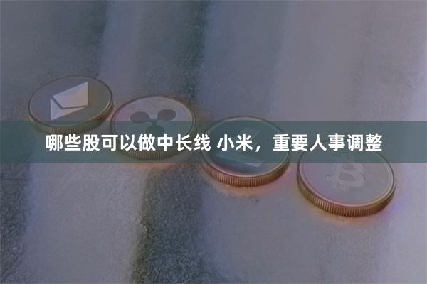 哪些股可以做中长线 小米，重要人事调整