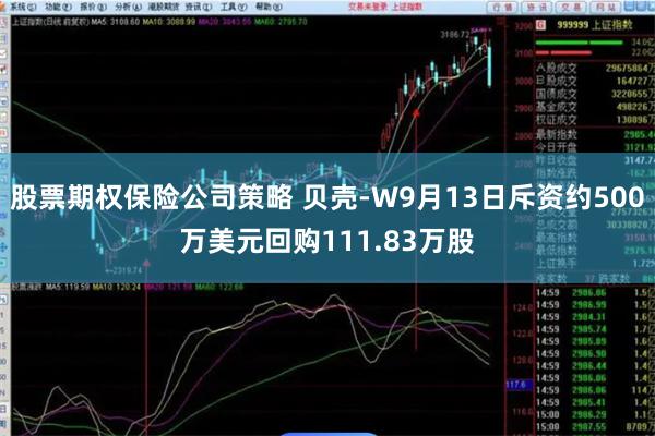 股票期权保险公司策略 贝壳-W9月13日斥资约500万美元回购111.83万股