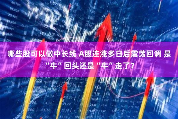 哪些股可以做中长线 A股连涨多日后震荡回调 是“牛”回头还是“牛”走了？