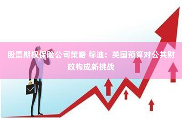 股票期权保险公司策略 穆迪：英国预算对公共财政构成新挑战