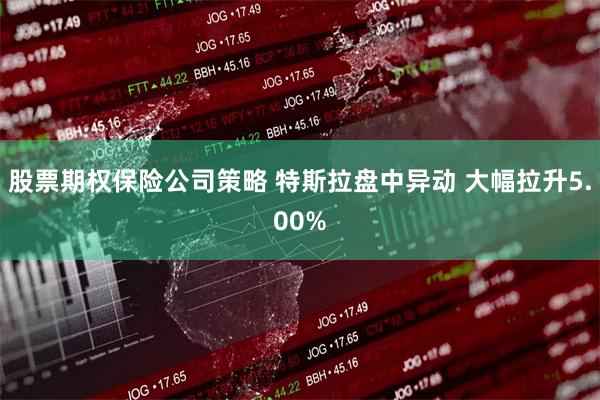 股票期权保险公司策略 特斯拉盘中异动 大幅拉升5.00%