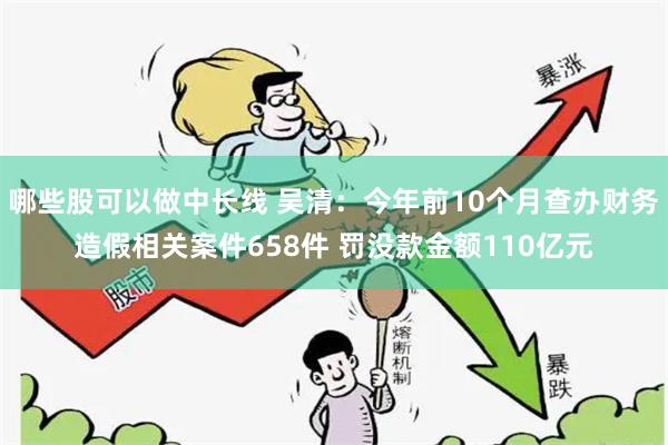 哪些股可以做中长线 吴清：今年前10个月查办财务造假相关案件658件 罚没款金额110亿元