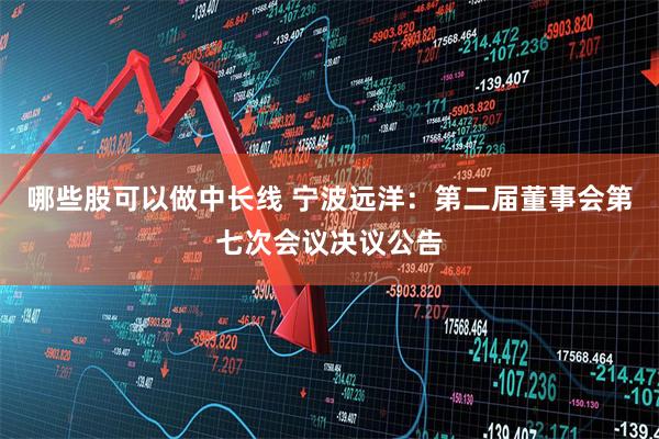 哪些股可以做中长线 宁波远洋：第二届董事会第七次会议决议公告
