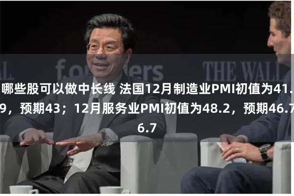 哪些股可以做中长线 法国12月制造业PMI初值为41.9，预期43；12月服务业PMI初值为48.2，预期46.7