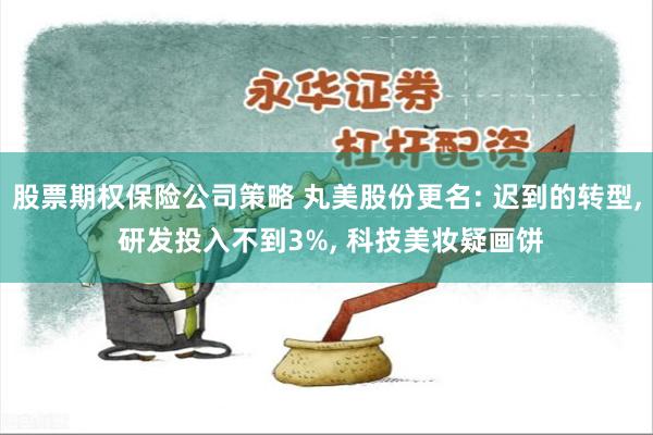 股票期权保险公司策略 丸美股份更名: 迟到的转型, 研发投入不到3%, 科技美妆疑画饼