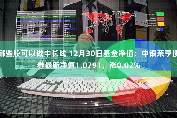 哪些股可以做中长线 12月30日基金净值：中银荣享债券最新净值1.0791，涨0.02%