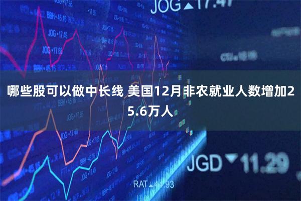 哪些股可以做中长线 美国12月非农就业人数增加25.6万人