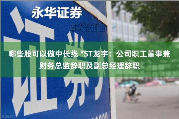 哪些股可以做中长线 *ST龙宇：公司职工董事兼财务总监辞职及副总经理辞职