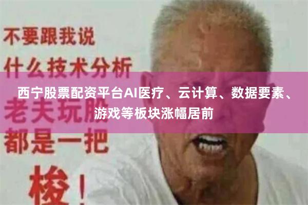 西宁股票配资平台AI医疗、云计算、数据要素、游戏等板块涨幅居前