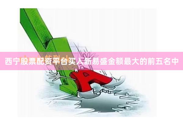 西宁股票配资平台买入新易盛金额最大的前五名中
