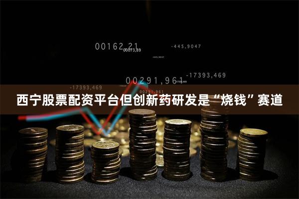 西宁股票配资平台但创新药研发是“烧钱”赛道